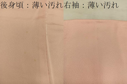 平和屋着物■訪問着 手描き 枝花文 暈し染め 正絹 逸品 BAAW6416mz