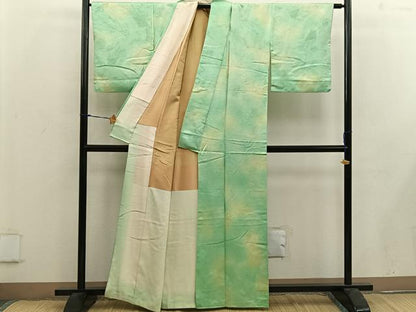 平和屋着物■上質な小紋　草葉地紋　暈し染め　正絹　逸品　BAAW6432mz