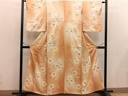 平和屋着物■上質な小紋　草花文　暈し染め　正絹　逸品　BAAW6435mz