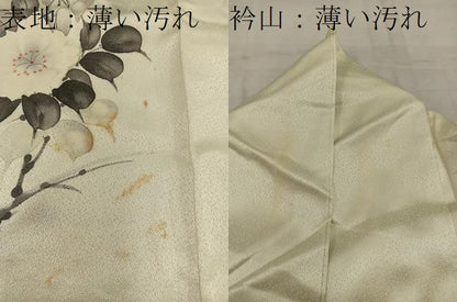 平和屋着物■訪問着　手描き　草花文　正絹　逸品　BAAW6438mz
