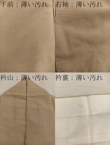 平和屋着物■色留訪問着 結城紬 麻の葉文様 正絹 逸品 BAAW6459mz