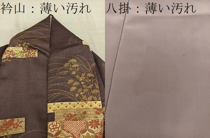 平和屋着物■上質な小紋　花鳥丸文　金彩　正絹　逸品　BAAW6487mz