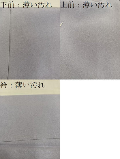 平和屋着物■訪問着　草花文　暈し染め　正絹　逸品　BAAW6488mz