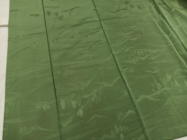 平和屋着物■上質な色無地　風景地紋　老竹色　正絹　逸品　BAAW6514mz