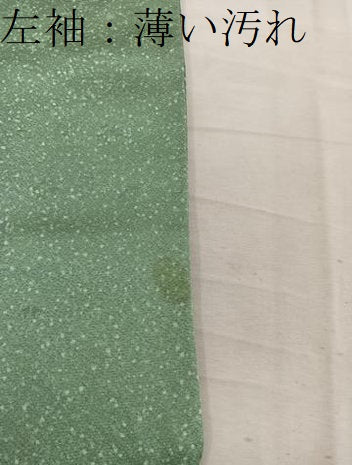 平和屋着物■訪問着　破れ色紙花文　金彩　正絹　逸品　BAAW6522mz