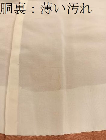 平和屋着物■訪問着　牡丹花文　金彩　正絹　逸品　BAAW6533mz