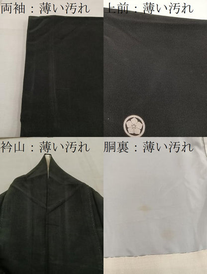 平和屋着物■豪華黒留袖 刺繍 尾長鳥 金彩 正絹 逸品 BAAW6605mz