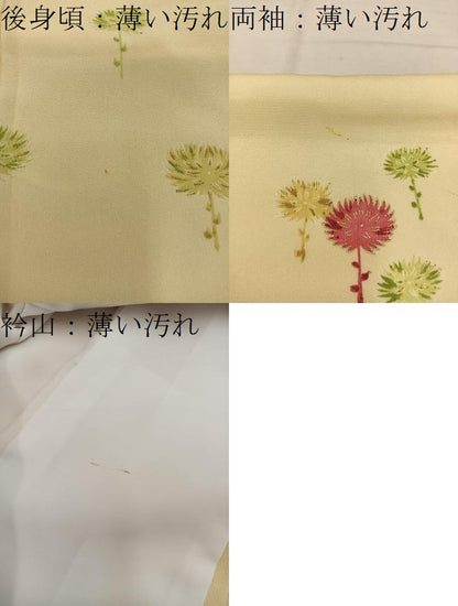 平和屋着物■訪問着　草花文　金彩　正絹　逸品　BAAW6622mz