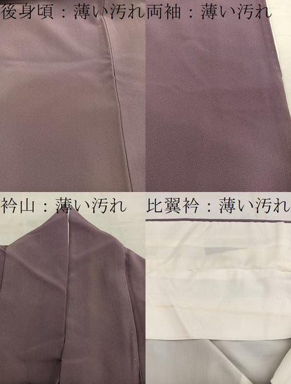 平和屋着物■豪華色留袖　枝松文　暈し染め　正絹　逸品　BAAW6692mz