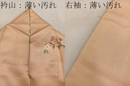 平和屋着物■訪問着　檜扇舞蝶花文　暈し染め　金彩　正絹　逸品　BAAW6695mz