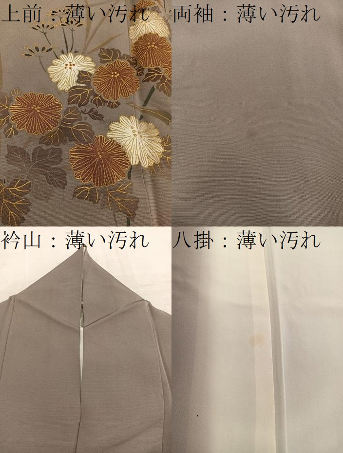 平和屋着物■訪問着　菊花文　金彩　正絹　逸品　BAAW6699mz