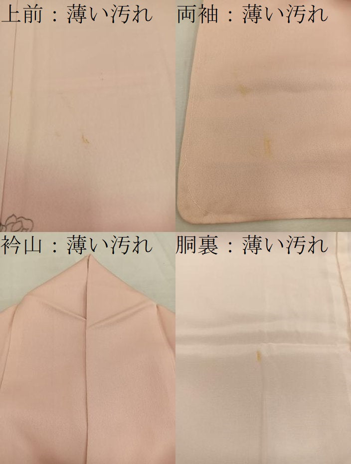 平和屋着物■訪問着　草花文　暈し染め　正絹　逸品　BAAW6708mz