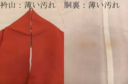 平和屋着物■上質な色無地 赤丹色 正絹 逸品 BAAW6872mz