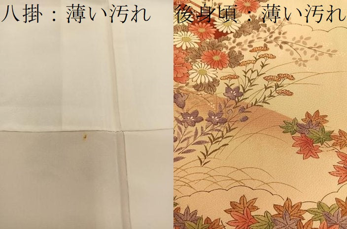 平和屋着物■上質な小紋 御所車花文 金彩 正絹 逸品 BAAW6878mz