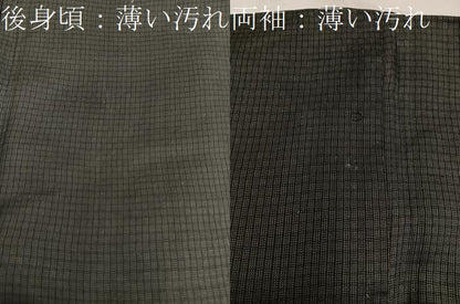 平和屋着物■男性 紬 網代織 黒緑色 正絹 逸品 BAAW6906mz