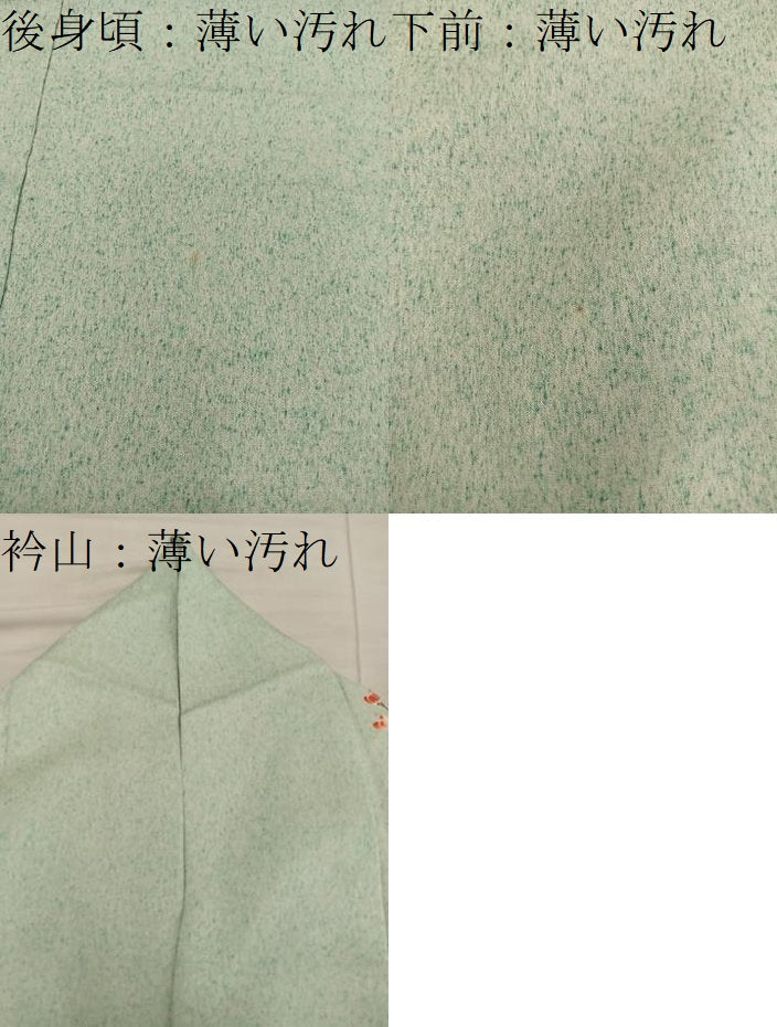 平和屋着物■訪問着　枝梅亀甲文　金彩　正絹　逸品　BAAW6935mz