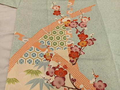 平和屋着物■訪問着　枝梅亀甲文　金彩　正絹　逸品　BAAW6935mz