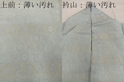 平和屋着物■上質な小紋　亀甲花文　金糸　正絹　逸品　BAAW6938mz