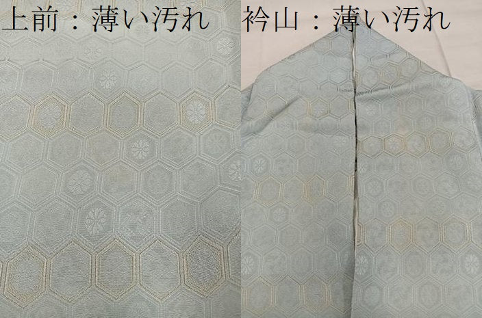 平和屋着物■上質な小紋　亀甲花文　金糸　正絹　逸品　BAAW6938mz