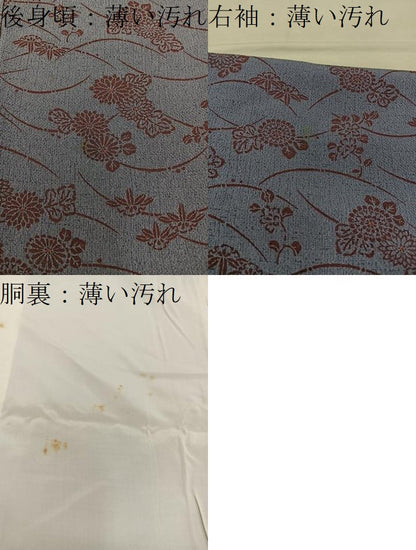 平和屋着物■上質な小紋　芝草菊花文　鬼しぼ縮緬　正絹　逸品　BAAW6973mz