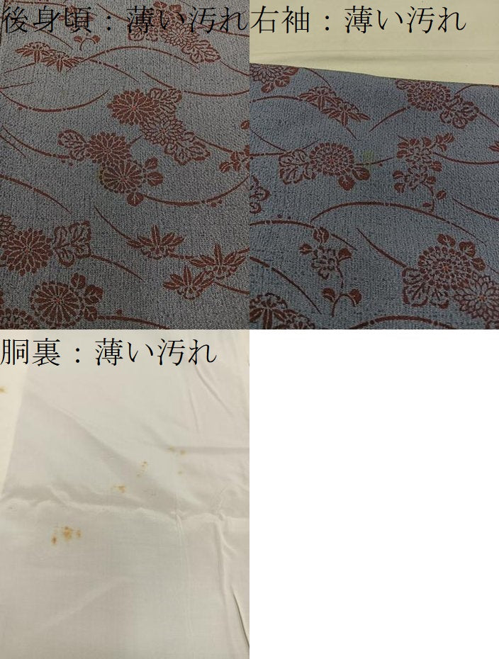 平和屋着物■上質な小紋　芝草菊花文　鬼しぼ縮緬　正絹　逸品　BAAW6973mz