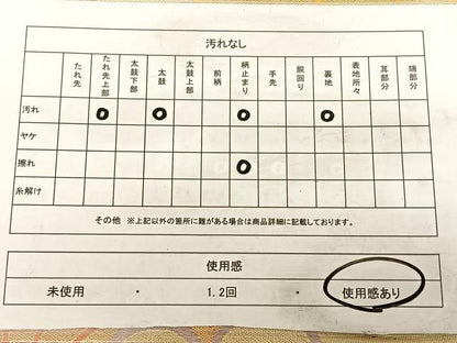 平和屋着物◎六通柄 京袋帯 菊尽くし 金銀糸 正絹 逸品 BAAW7102qw