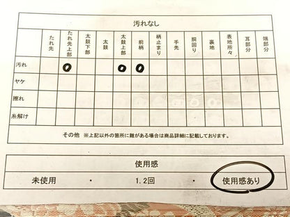 平和屋着物◎全通柄　京袋帯　引き抜き帯　絵巻花鳥文　金銀糸　正絹　逸品　BAAW7154qw