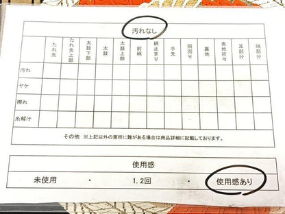 平和屋着物◎西陣 六通柄袋帯 唐織 鳳凰亀甲丸文 黒地 金糸 正絹 逸品 BAAW7162qw