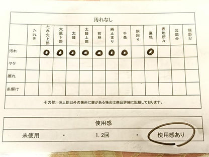 平和屋着物◎六通柄　京袋帯　唐織　流水文　金銀糸　正絹　逸品　BAAW7306qw