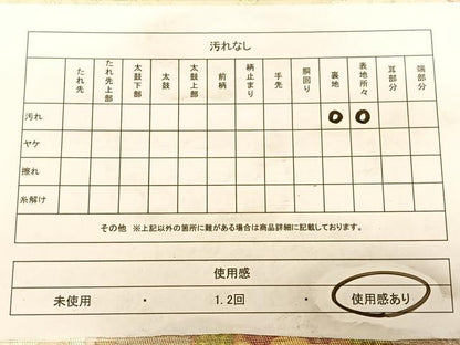 平和屋着物◎六通柄袋帯　花鳥唐草文　金銀糸　正絹　逸品　BAAW7317qw
