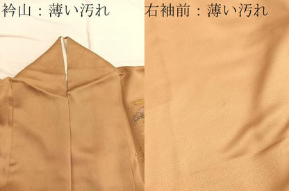 平和屋着物■訪問着 駒刺繍 浜松文 金彩 ますいわ扱い 正絹 逸品 BAAW7603hv
