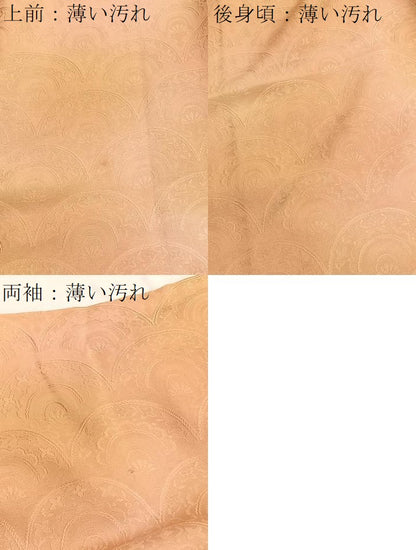 平和屋着物■上質な小紋 青海波 暈し染め 正絹 逸品 BAAW7648hv