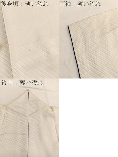 平和屋着物■訪問着　手描き　地紙花蝶文　暈し染め　金彩　正絹　逸品　BAAW7664hv