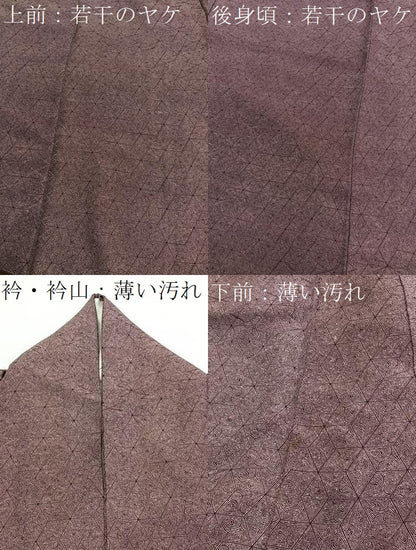 平和屋着物■江戸小紋 麻の葉花文 正絹 逸品 BAAW7691hv