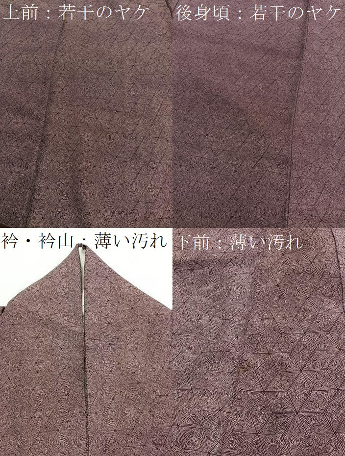 平和屋着物■江戸小紋 麻の葉花文 正絹 逸品 BAAW7691hv
