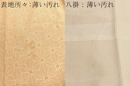平和屋着物■上質な紬　麻の葉文様　正絹　逸品　BAAW7710hv