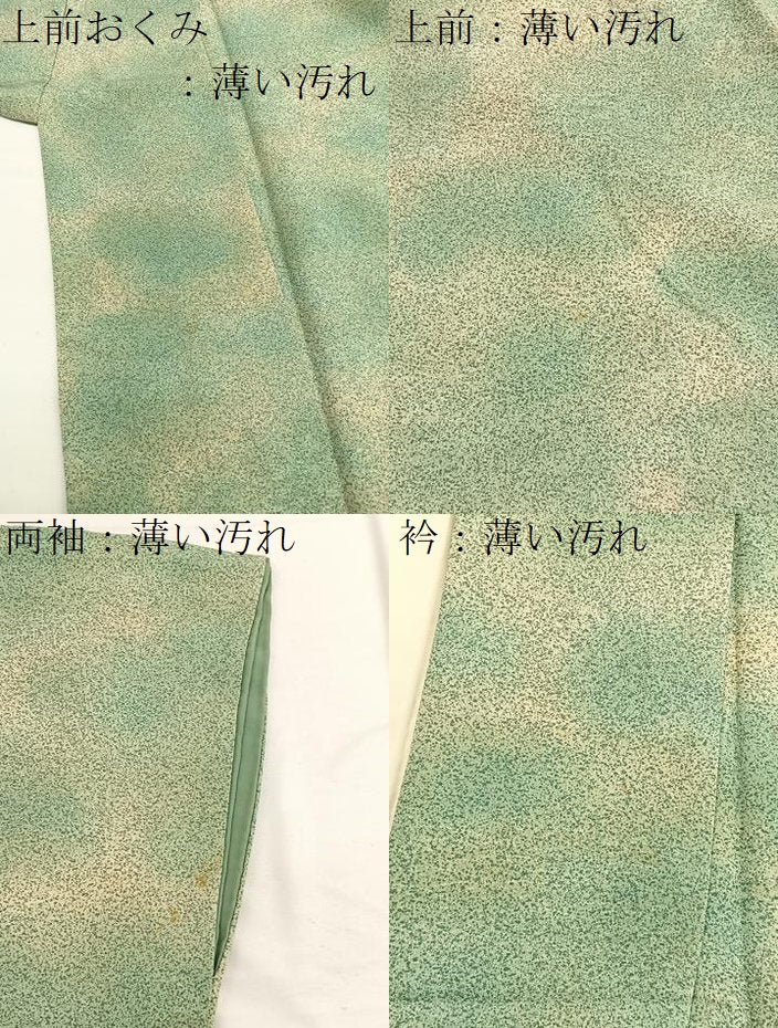 平和屋着物■上質な小紋 霞文 たたき染め 正絹 逸品 BAAW7820hv