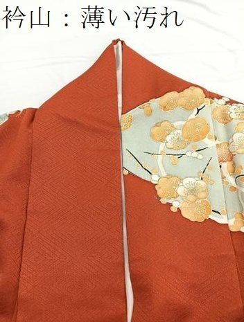 平和屋着物■訪問着 飛鳥梅文 金彩 正絹 逸品 BAAW7832hv
