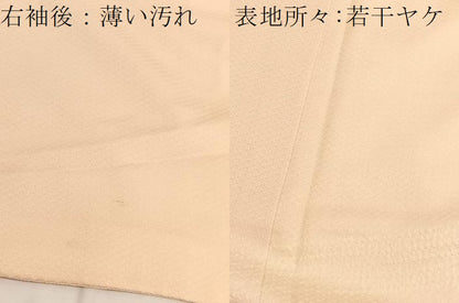 平和屋着物■中国三大刺繍　相良刺繍　色留訪問着　絞り　流水花文　正絹　逸品　BAAW7851hv