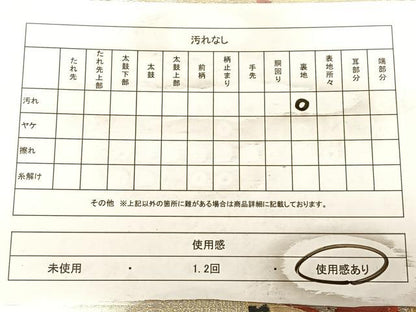 平和屋着物◎六通柄袋帯　唐織　孔雀松文　金銀糸　正絹　逸品　BAAW8001qw
