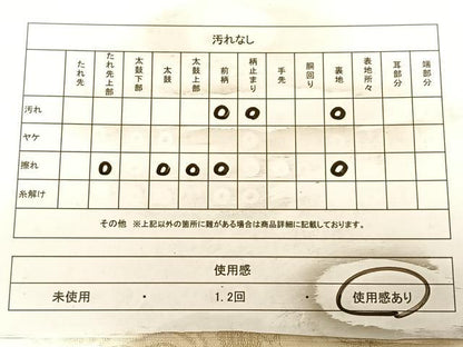 平和屋着物◎六通柄袋帯　鏡裏文　銀糸　正絹　逸品　BAAW8047qw