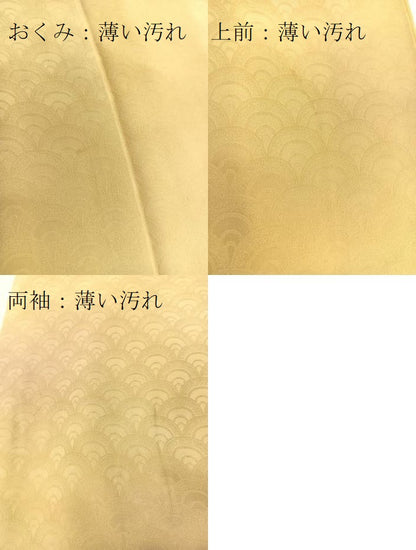 平和屋着物■上質な小紋　青海波文　暈し染め　正絹　逸品　BAAW8436yc