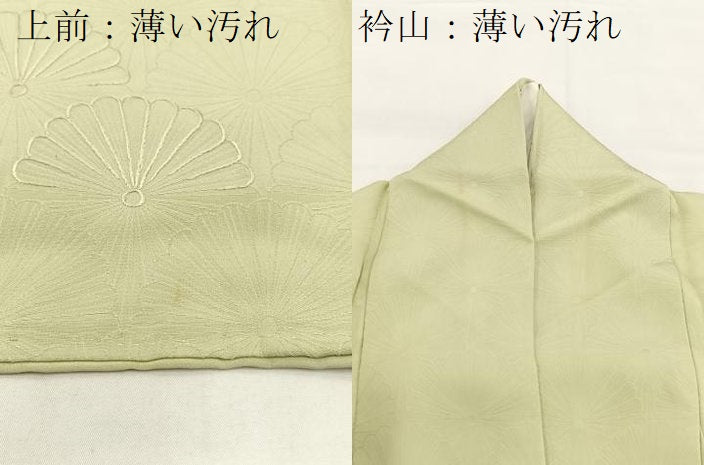 平和屋着物■無地絵訪問着　刺繍　菊花文　若芽色　正絹　逸品　BAAW8472yc