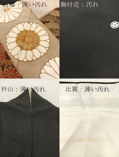 平和屋着物■豪華黒留袖 駒刺繍 雲取り吉祥花文 金彩 ますいわ屋扱い 正絹 逸品 BAAW8506yc