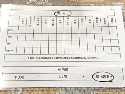 平和屋着物◎六通柄袋帯 唐織 京名所 金糸 正絹 逸品 BAAW8673yc