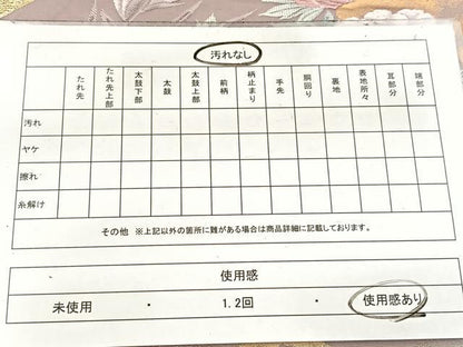 平和屋着物◎六通柄袋帯　唐織　格天井花文　金糸　正絹　逸品　BAAW8705yc