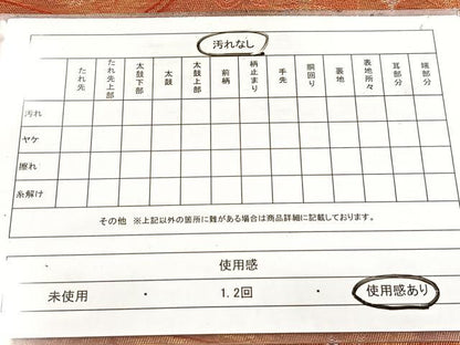 平和屋着物◎六通柄袋帯　切嵌壁画文様　金糸　引箔　正絹　逸品　BAAW8733yc
