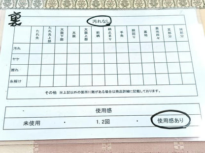 平和屋着物◎両面　全通柄袋帯　横段花蝶文　金糸　正絹　逸品　BAAW8988yc