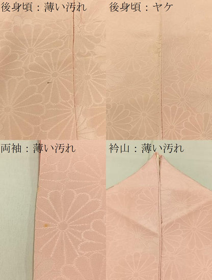 平和屋着物■上質な色無地 菊地紋 肌色 正絹 逸品 BAAW9035hj
