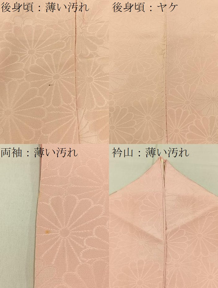 平和屋着物■上質な色無地 菊地紋 肌色 正絹 逸品 BAAW9035hj